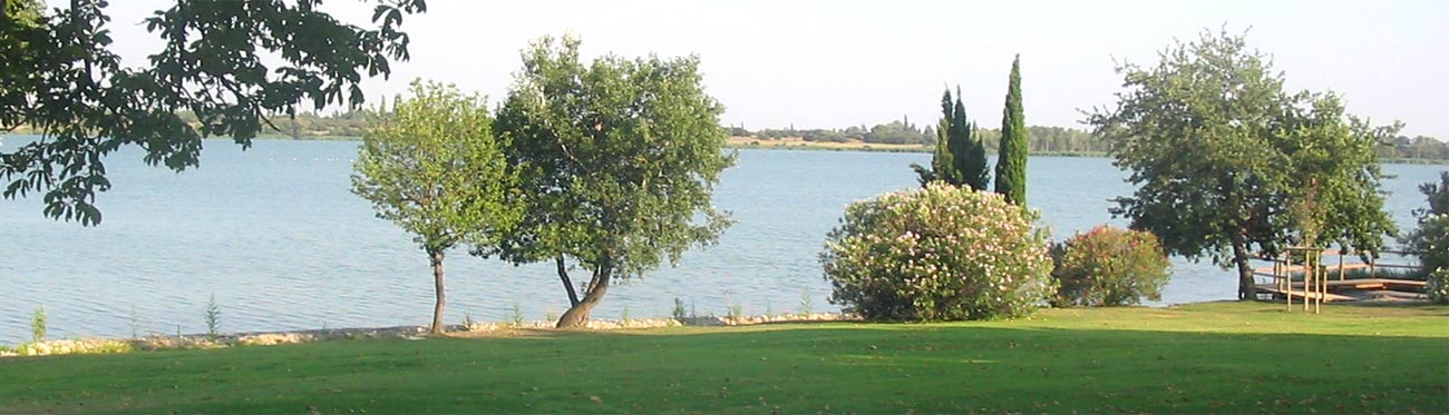 EtangDesAulnes1.jpg